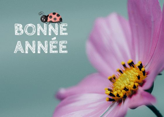 6181-Bonne anna e petite coccinelle_maxi.gif